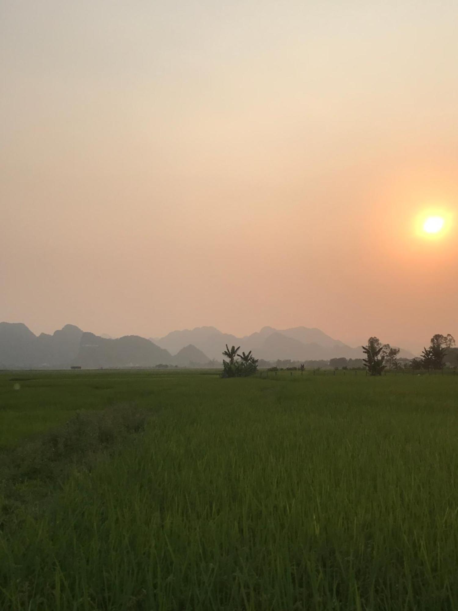 Happy Field Homestay Phong Nha Exterior foto